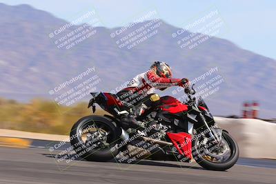 media/Mar-12-2023-SoCal Trackdays (Sun) [[d4c8249724]]/Turn 9 Side (1pm)/